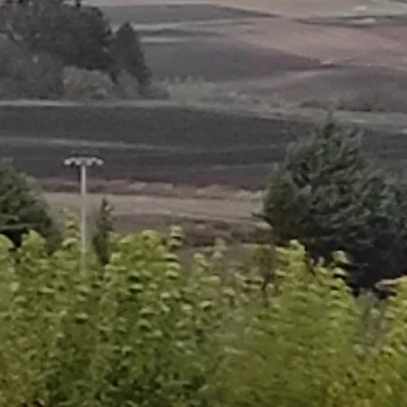 Il Melograno