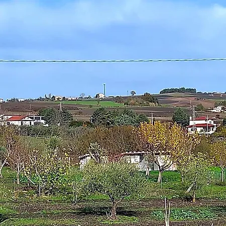 Il Melograno